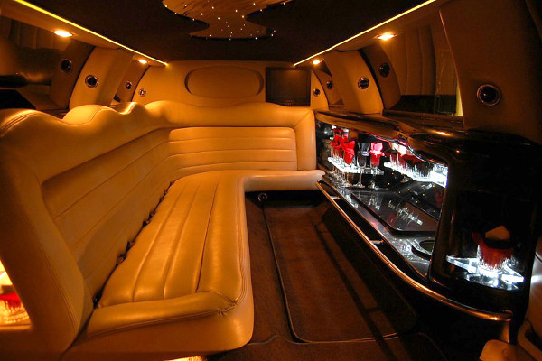 300 Newark limo rental